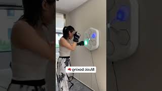 Famous 🔥 Music Boxing Machine Wall Mount | Fun Interactive Punching Game for Kids & Adults! Net Worth