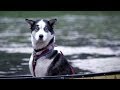 Good Dog Travels On Leaking Boat | Life Below Zero | Earth Unplugged