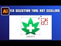 Selection Tool Not Working Not Scaling in Illustrator 2026 SOLVED