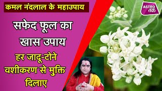 सफेद फूल का खास उपाय हर जादू-टोने वशीकरण से मुक्ति दिलाए | Kamal NandLal ke MahaUpay | Astro Tak screenshot 2