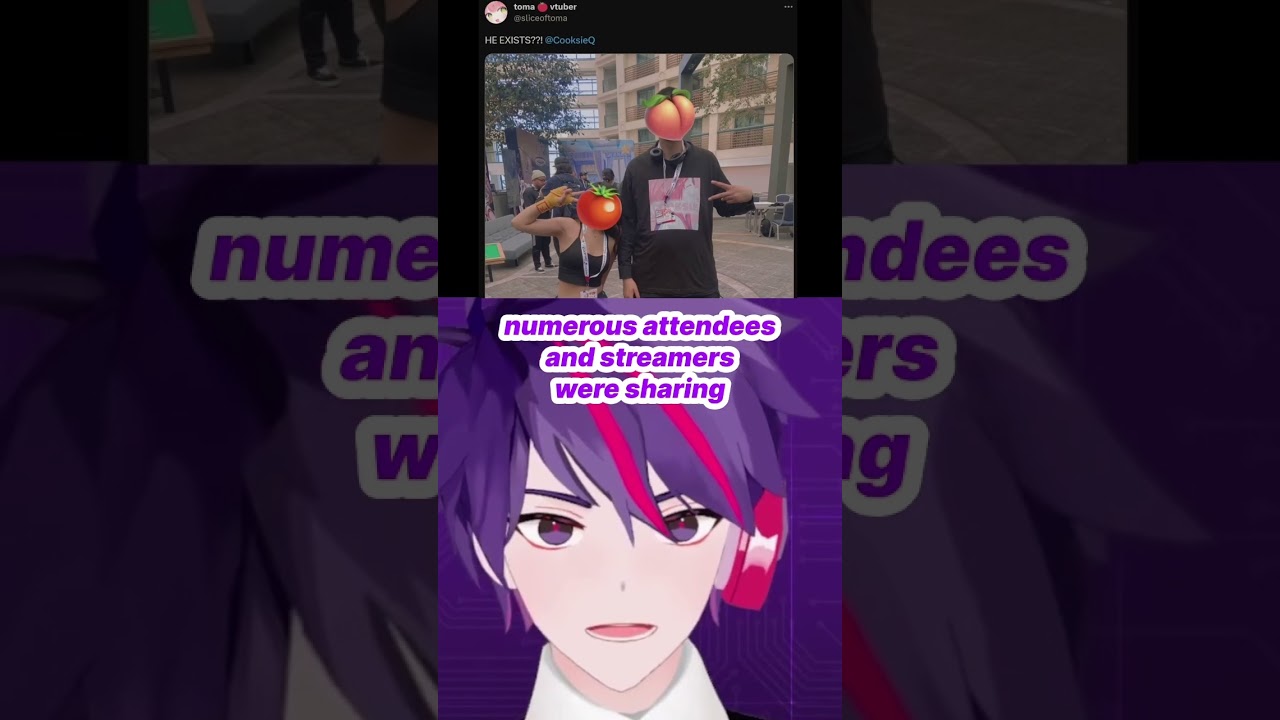 Con Artist Invades VTuber Con