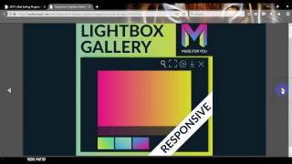Responsive Lightbox Gallery Widget by Muse For You screenshot 2