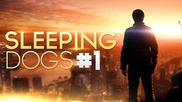 Sleeping Dogs - Walkthrough - Part 1 "The Beginning..." (Let