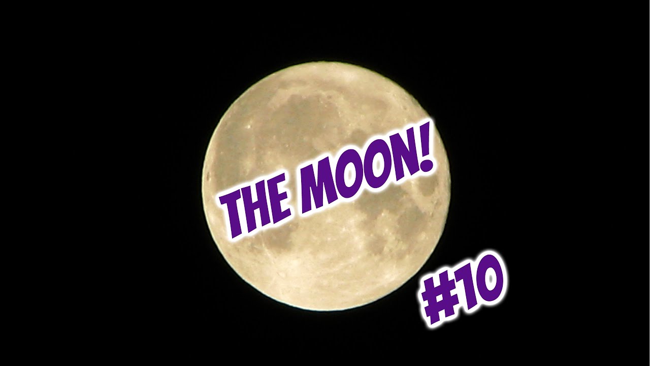 FORBIDDEN LOVE ON THE MOON! [PLotB 10] YouTube