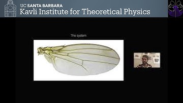 Hidden symmetries in final form ▸ Madhav Mani #symmorph
