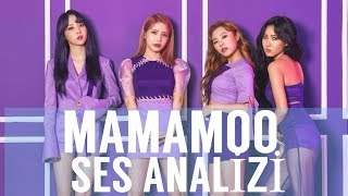 Mamamoo Ses Analizi (Hediyeli) 