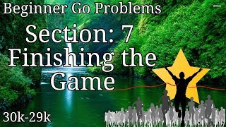 Beginner Go Problems - Section 7: Finishing the Game screenshot 5