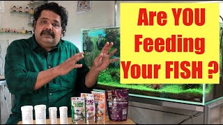 What are you Feeding your Fish? | How Much & How to Feed Fish? | Aquarium Care | Best Goldfish Food screenshot 5