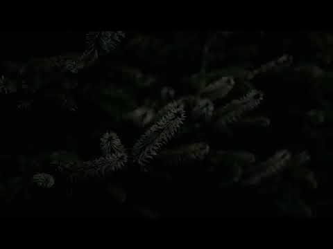 Fiar metin Promete Nbe Mk O Bosok 🙄