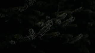 Download Lagu Fiar metin Promete Nbe Mk O Bosok 🙄 MP3