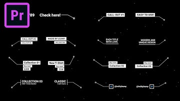 FREE Leany Call Out Template for Adobe Premiere Pro + Tutorial