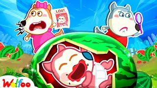 A Watermelon Is Growing in My Tummy | Baby Got Lost | Kids Safety Cartoon  Wolfoo Kids Cartoon