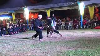 Persilatan Melayu