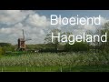 Bloeiend hageland 4k