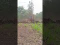 JCB LOVE'S