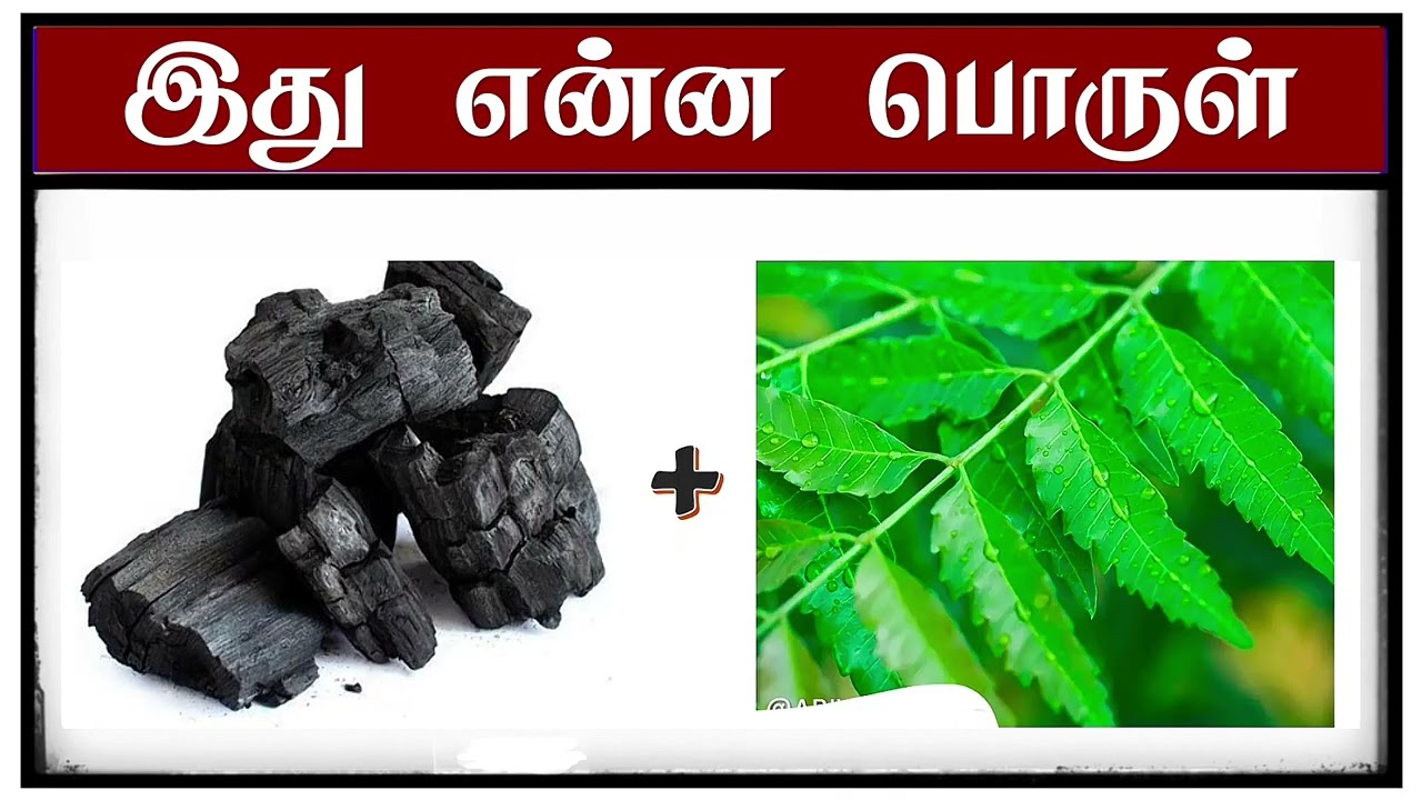 Guess the kitchen items name part no part 8 | part 8 | movie quiz