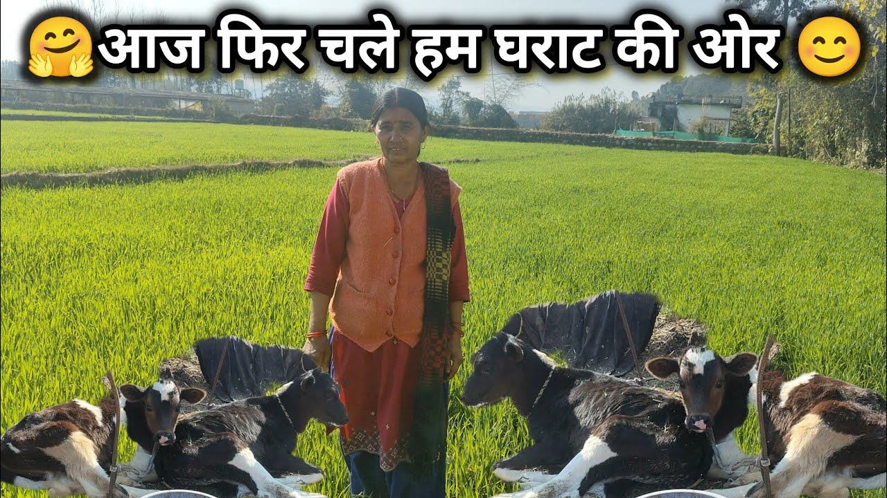 आज एक बार फिर से चले हम घट की और ♥️🥰 