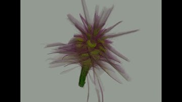 Multiresolution Volume Filtering in the Tensor Compressed Domain