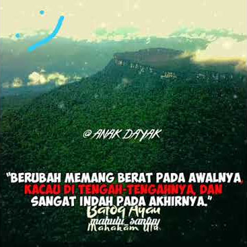 Story wa versi dayak mahakam ulu