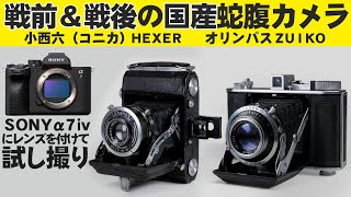 SONYα７ⅳに戦前＆戦後の国産蛇腹カメラレンズ「小西六 SEMI Pearl Durax HEXAR F4.5 75㎜とOLYMPUS Six Zuiko F2.8 7.5cm」で撮影出来るように