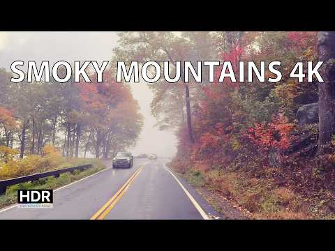 Great Smokey Mountain National Park 4K - Driving Into The Clouds - America's #1 National Park