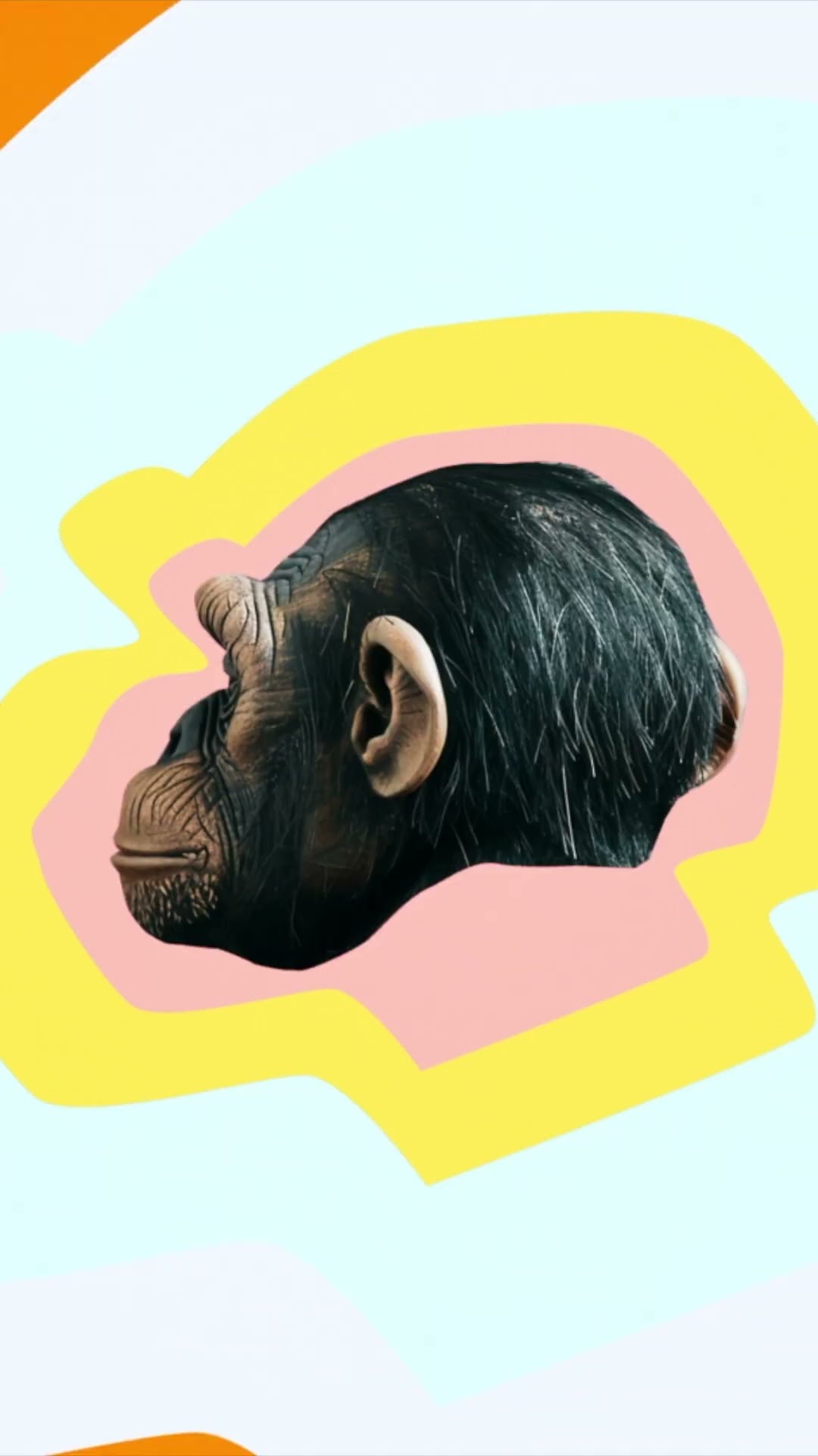 The Most Consequential Wave of Creation in History | Mustafa Suleyman  @TED  #tedtalks #ted