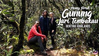 Easy Hike | Mossy Forest in Genting Highlands 🇲🇾