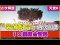 《天堂M》『裝備組合』再次加碼！１２個組合資料！(古今解說/韓版)