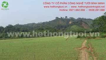 tưới phun mưa cho 20 ha cây nông nghiệp