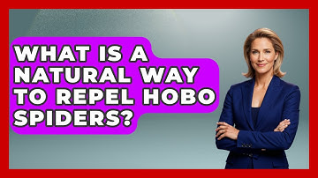 What Is A Natural Way To Repel Hobo Spiders? - Insects and Invaders