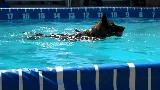 First time jumping into a pool, EVER - dock diving practice