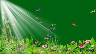 Green screen flowers, butterfly, flying, animation, effects - Free green screen download