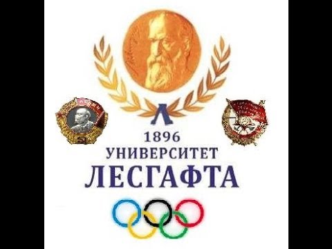 Методика обучения опорным прыжкам. Часть 2.