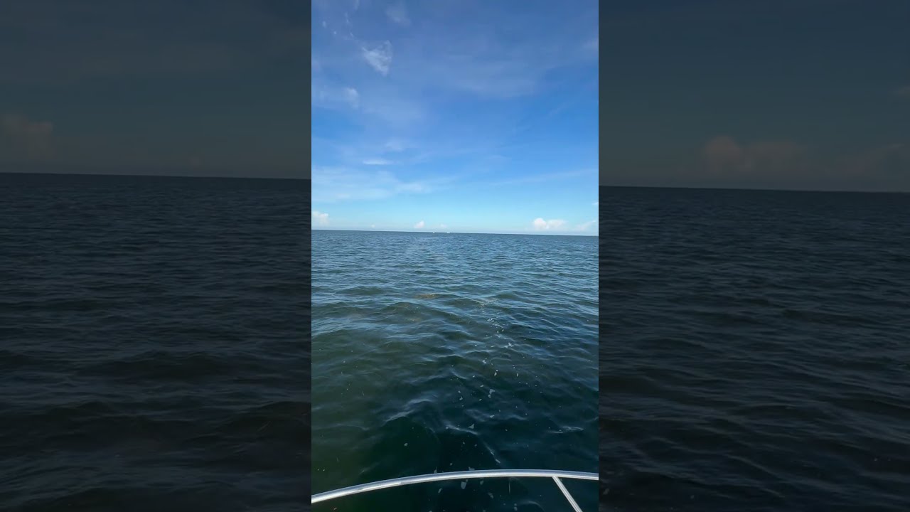 Good Afternoon Boat Day Florida Family Team Goodvibes Salty