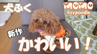 【犬服】新しい新作のモモの洋服が出来ました♪【トイプードル】toypoodle トイプードルのモモ