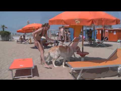 la spiaggia di pluto - benvenuto.avi