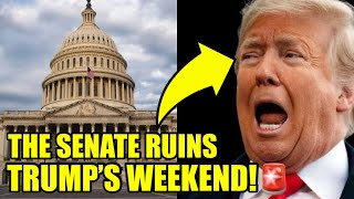Trump PANICS As The Senate Drops ALARMING BOMBSHELL On Him