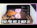 iPad Pro M5 Zenless Zone Zero Gaming Test ZZZ | Apple M5
