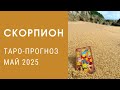 ♏️СКОРПИОН. Таро-прогноз на май 2025 #гороскоп скорпион#таро