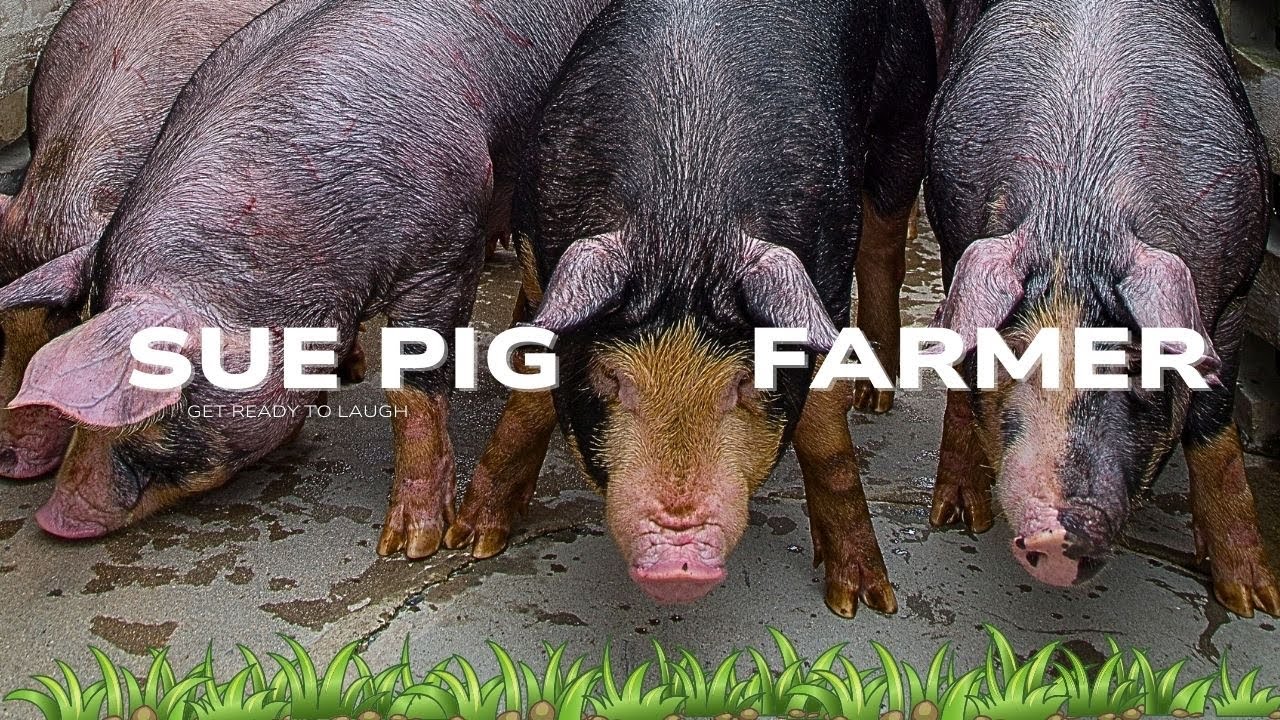 Ever seen a pig faint? AND soooo much more... 