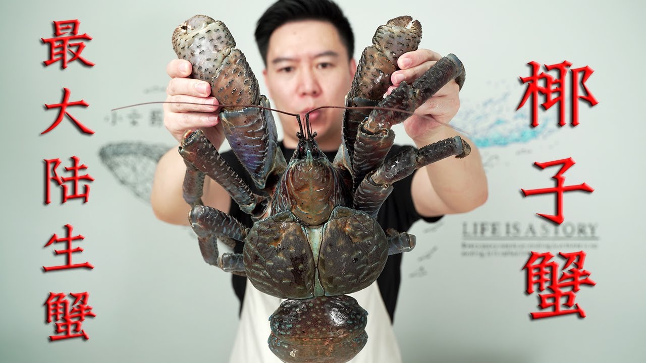 2530买一只最大的陆生蟹 椰子蟹 别人都翻车 我却吃出人生哲理 小文哥吃吃吃 Youtube