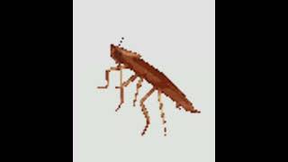 Reading The “Ogtha The Cockroach” Copypasta
