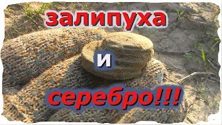 Поиск на полях и в лесу . Залипуха и серебро!