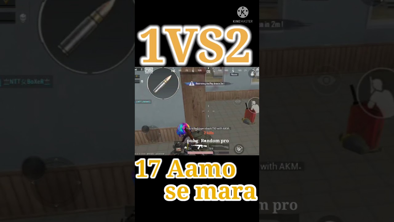 17 Aamo se duo ko mara😱