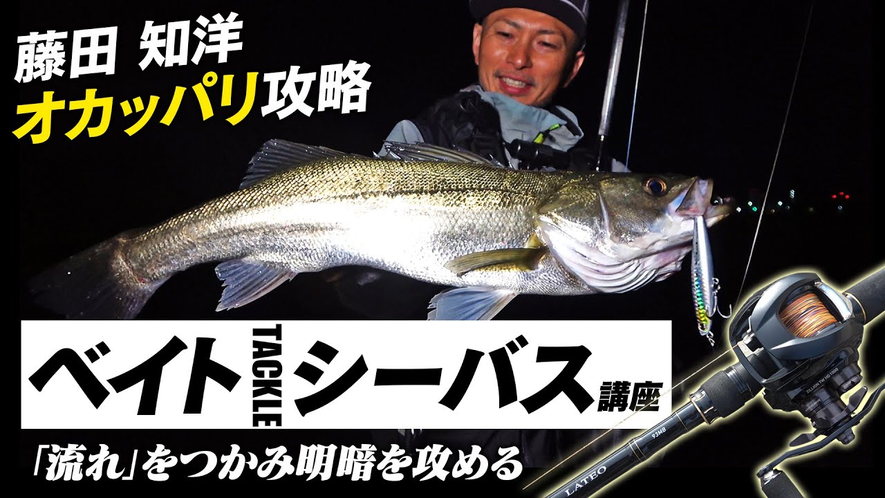 Bait tackle is fun! Daiwa's Fujita Tomohiro's sea bass fishing