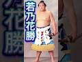 【平成の笑顔の横綱】若乃花勝 若貴兄弟と幕内5回優勝が生んだ黄金伝説