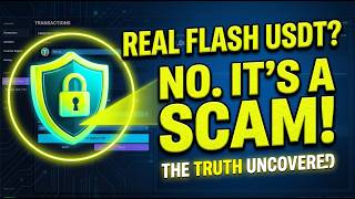 What is Flash USDT? Real Software Demo vs. The Reality Behind the Scam screenshot 5