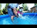 Kira the Husky Puppy Learning to Swim