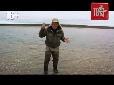 Ваша Музыка Похожие исполнители