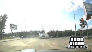 Auto Vines №65